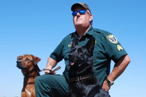 K-9