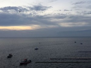 Rescue Op Snipped Crab island drowning
