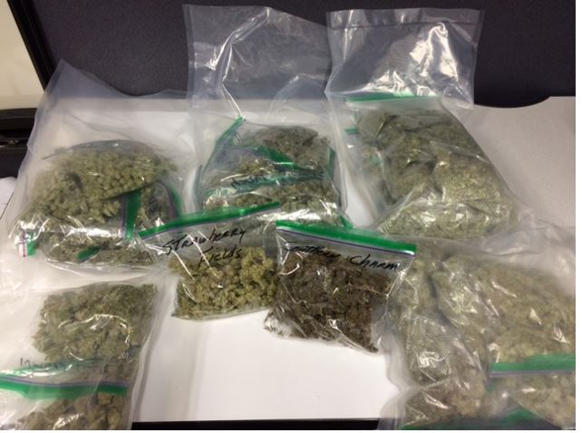 Touchton and Crist Arrest 2 Drugs and Cash