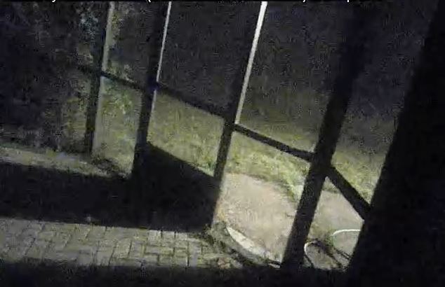 Screen Cut in Laurel Hill