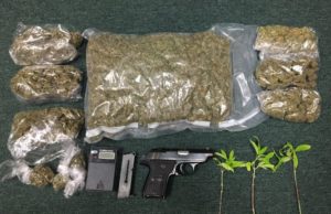 Pabon Culitvation of Marijuana