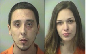 Disturbance Call Leads to Indoor Marijuana Grow