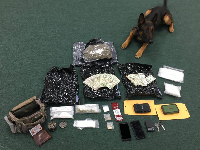 OCSO K9 Unit Wins Case of the Quarter
