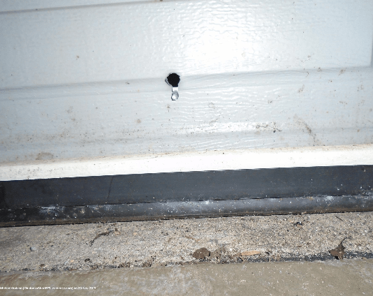 Residence and Vehicles Struck by Gunfire, No Injuries