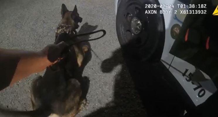 K9 Apprehends Suspct