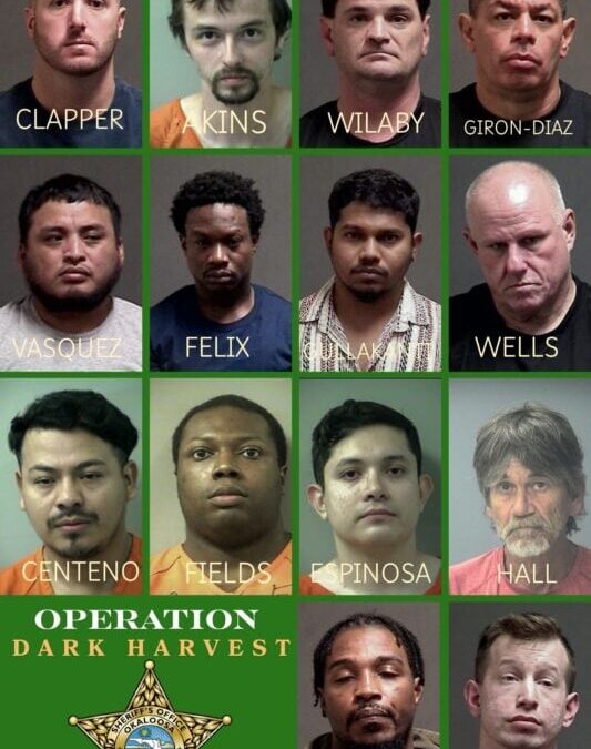 OCSO Operation Dark Harvest Nets 14 Arrests